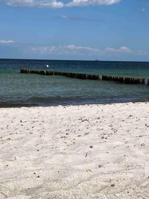 Familienurlaub Mit Hund An Der Ostsee Admannshagen-Bargeshagen 외부 사진
