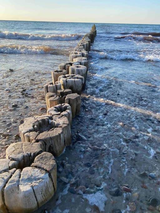 Familienurlaub Mit Hund An Der Ostsee Admannshagen-Bargeshagen 외부 사진